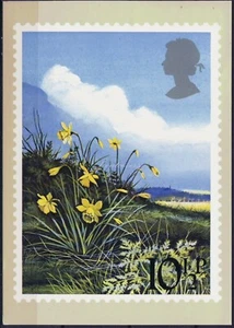 Tarjeta Maximum Gran Bretaña, Edimburgo. 3-21-1979. Narcisos de flores británicas. - Imagen 1 de 2