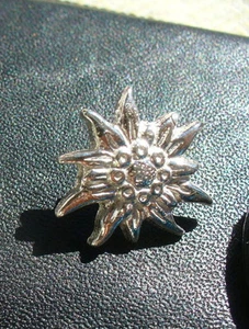 ALPENSTERN. EDELWEISS Anstecknadel 925 SILBER Sterling Silber - Bild 1 von 1