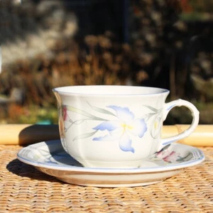 Tasse à café + soucoupe vintage Villeroy & Boch modèle Riviera - Picture 1 of 3