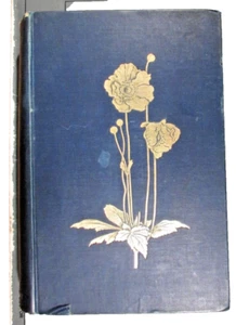 Der englische Blumengarten (W. Robinson - 1899) - Bild 1 von 6