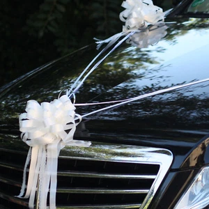 Hochzeit Deko Ziehschleife Hochzeitsauto Party Deko Brautauto Autoschmuck - Bild 1 von 17