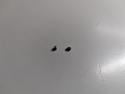 IBM SELECTRIC TYPEWRITER PART - SET SCREW - 1 Pack of 2 - new