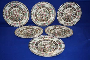 Alfred Meakin The India Tree (6) Bread & Butter Plates, 6" - Picture 1 of 10