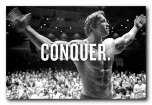 Arnold Schwarzenegger Poster 24x36 Inch Photo Rare Print Wall Art Print - AS1 - Picture 1 of 5