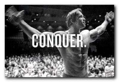 Arnold Schwarzenegger Poster 24x36 Inch Photo Rare Print Wall Art Print - AS1 - Image 1 of 4
