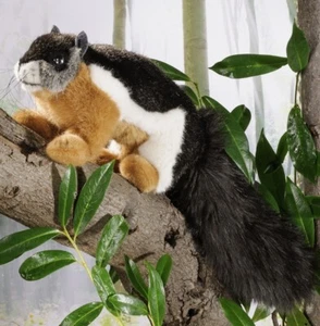 Asian Tri-Coloured Squirrel, standing - soft toy by Kosen / Kösen - 7760 - Picture 1 of 1
