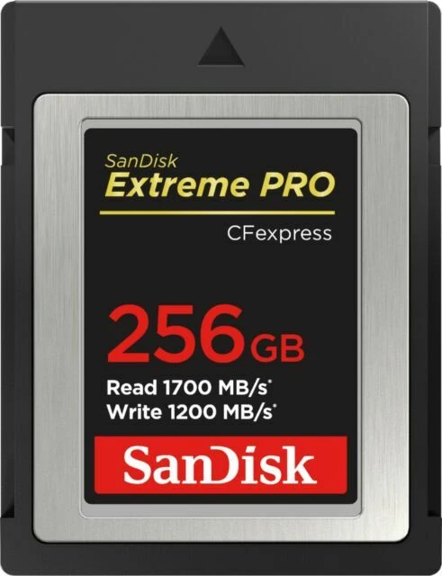 SanDisk 256GB SD Memory Card - SDCFE-256G-ANCNN