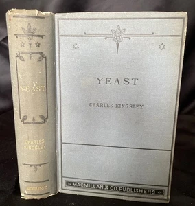 1885 YEAST, A PROBLEM Fourth Edition By Charles Kingsley~Macmillan~Antique Book - Picture 1 of 12