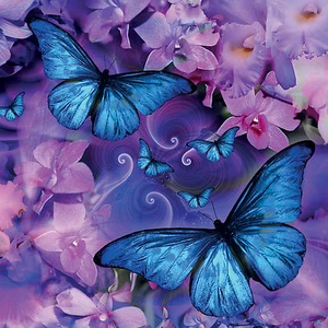 BUTTERFLY ( 1 ) ALL OCCASIONS GREETING CARD WITH C.D - BLANK INSIDE - Foto 1 di 1