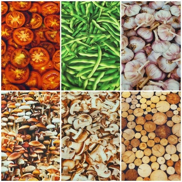 Patchworkstoff 100% Baumwolle  50x112cm Gemüse Pilze Holz Tomaten Bohnen - Bild 1 von 1