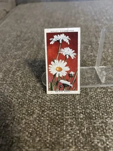 Wills’s Zigaretten Tabakkarte W.D. & H.O. Wills Wild Flowers #23 Ox-Eye Daisy - Bild 1 von 2