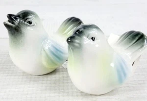 Ceramic Bird Salt & Pepper Shakers Blue Green Gray 2.5" Figurine NEW - Picture 1 of 5