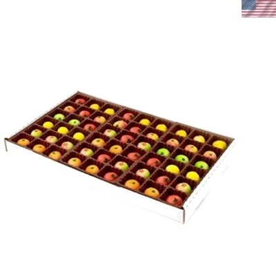 Hermosa Bandeja de Frutas de Mazapán Surtido - Sabroso Regalo para Todas las Ocasiones Foto 1 de 4