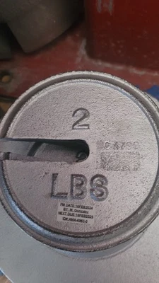 Pesos de calibração em escala de ferro fundido Troemner de 322 libras. Vários - Imagem 1 de 4