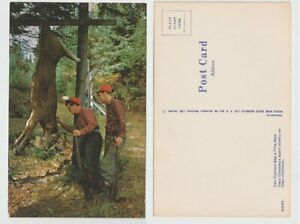 Deer Hunting Two hunters bagging a Deer Non-Topographical Postcard Unused Chrome