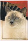 Postcard Friskies Cat Club Advertising
