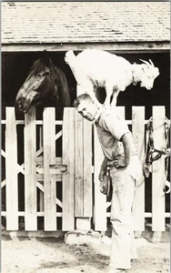 Man With Goat On His Back RPPC Reprint Continental Postcard CE10 - Picture 1 of 2