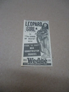 Leopard Mädchen mit 4 Boa Constrictor Schlangen 1952 Theater Anzeige Keil PHILADELPHIA PA - Bild 1 von 1