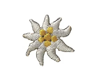 Edelweiss Edelweiß Blüte 05 Trachten Aufnäher Aufbügler Patch Applikation #9412 - Bild 1 von 1