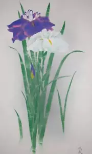 PINTURA JAPONESA PERGAMINO COLGANTE IRIS ARTE ANTIGUO DE COLECCIÓN DE JAPÓN e123 - Imagen 1 de 9