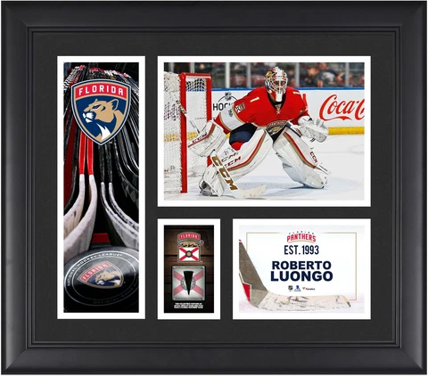 Roberto Luongo Florida Panthers Framed 15x17 Collage & Piece of G-U Puck Cover