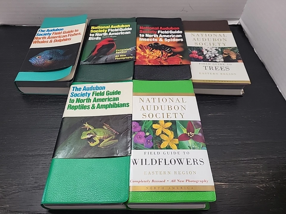 Lof 6 AUDUBON SOCIETY FIELD GUIDES Wildflowers Reptiles Trees Birds Insects Fish - Image 1 of 1