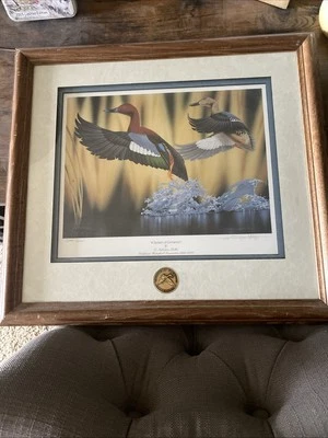 Duck Photo “A Splash of Cinnamon” 380/1350 - Image 1 of 4