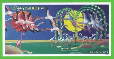 SELLO DE FLAMENCOS ROSAS 1998 1 MINI HOJA AVES SOL ARTE VIDA SILVESTRE ANIMAL SOMALIA MNH Foto 1 de 2