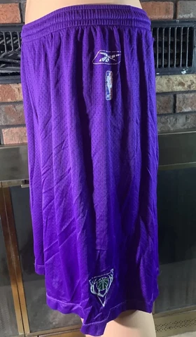 Vintage Reebok NBA Milwaukee Bucks Purple Mesh Basketball Shorts Mens Size 2XL Cover