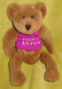 Bolsa de frijoles FIGHT LUPUS 11" oso de peluche juguete regalo esperanza cura autoinmune amor cuidado - Imagen 1 de 3