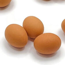 30Pcs Resin Miniature Decor Miniature Eggs For Cooking Home Miniature
