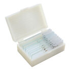10 PCS/Set Microscope Slides with Specimens Biology Prepared Insect