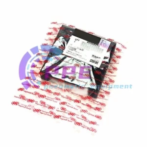 1 Stück NEU 40068371 Schaumfilter für Ingersoll Rand Luftkompressor schnelle Lieferung - Bild 1 von 2