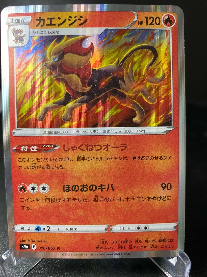 Pokémon Card Japanese - Pyroar 016/067 S9a Battle Region HOLO  - Image 1 of 1