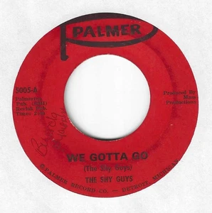 GARAGE 45 ON PALMER BY THE SHY GUYS - "WE GOTTA GO"  VG+ - Imagen 1 de 2