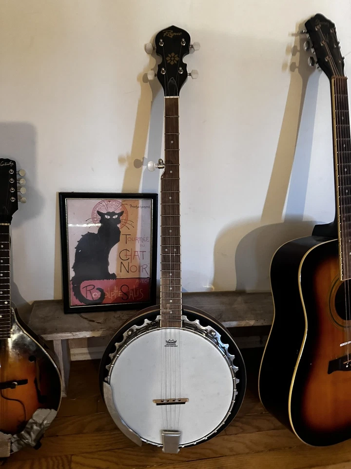 Banjo de 30 soportes Rogue B30 Deluxe Foto 1 de 3