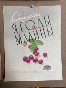 1961 Original Vintage Russian Soviet Art Poster USSR Raspberry Advertisement - Picture 1 of 1