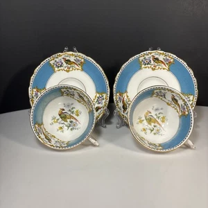 Pianta Osso Toscano Cina Tazza e Piattino Fascia Blu Acqua con Fagiani Dorati 2 Set - Foto 1 di 16