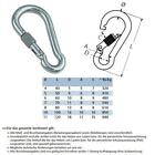 Carabiner Hooks Stainless Steel 4A With Safety 40mm-120mm Carabiner Steelando