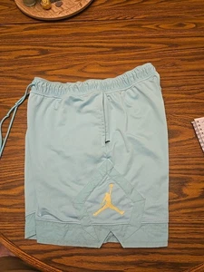 Pantalones Cortos Nike Air Jordan Jumpman Stitch Logo Tropical Twist Para Hombre LG Bolsillos con Cremallera - Imagen 1 de 19