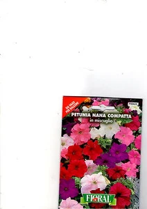 PETUNIA NANA COMPATTA MISCUGLIO - DA VASO PER BALCONI-FLORAL - BUSTA SEMENTI - Imagen 1 de 1