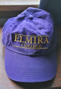 Elmira College Baseball Hat Richardson R55 Purple Team Spirit Alumni Collect - Picture 1 of 4