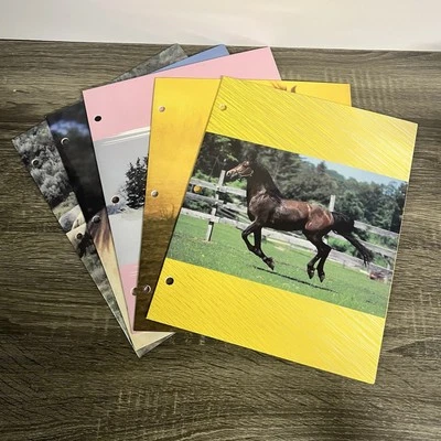 Lote 5 Carpetas Escolares Caballos 3 Agujeros Coloridas 2 Bolsillos Hiel Plymouth De Colección 2001 Foto 1 de 4