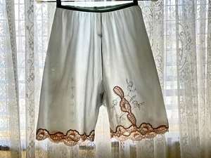 Vintage Blue Semi Sheer Panties Pettipants Bloomers Shorts Lace Embroidered - Picture 1 of 14