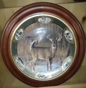 Franklin Mint Limited Edition 10 Point Buck Collector Plate With Wooden Frame