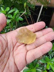 Libyan desert glass / gold ldg  / Libyan Gold Tektite / Libyan  Glass / 152.85CT - Picture 1 of 5