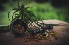 Digitales Info Produkt Pflanzen Investment der Zukunft 4-6 Einnahmen pro Jahr