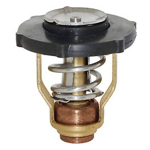 El termostato Yamaha 75-90 hp 4 tiempos 16-UP reemplaza 6FP-12411-00, 6FP-12411-00-00 - Imagen 1 de 6