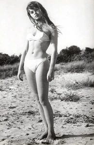 Brigitte Bardot 5x7 Film Memorabilia Hollywood Schauspielerin - Bild 1 von 1