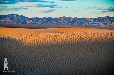 Glamis / Imperial / Algodones Dunas de arena - Impresiones fotográficas de bellas artes Foto 1 de 4